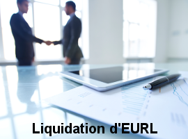 annonces legales liquidation eurl